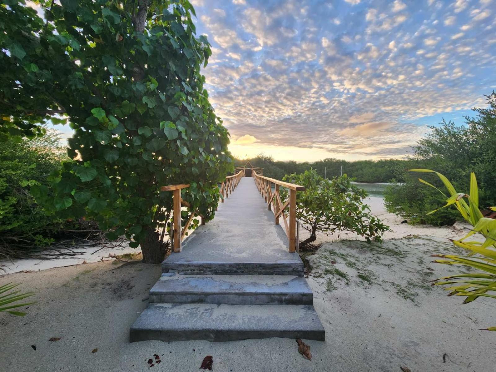 Surf Deck Hotell Thulusdhoo Exteriör bild